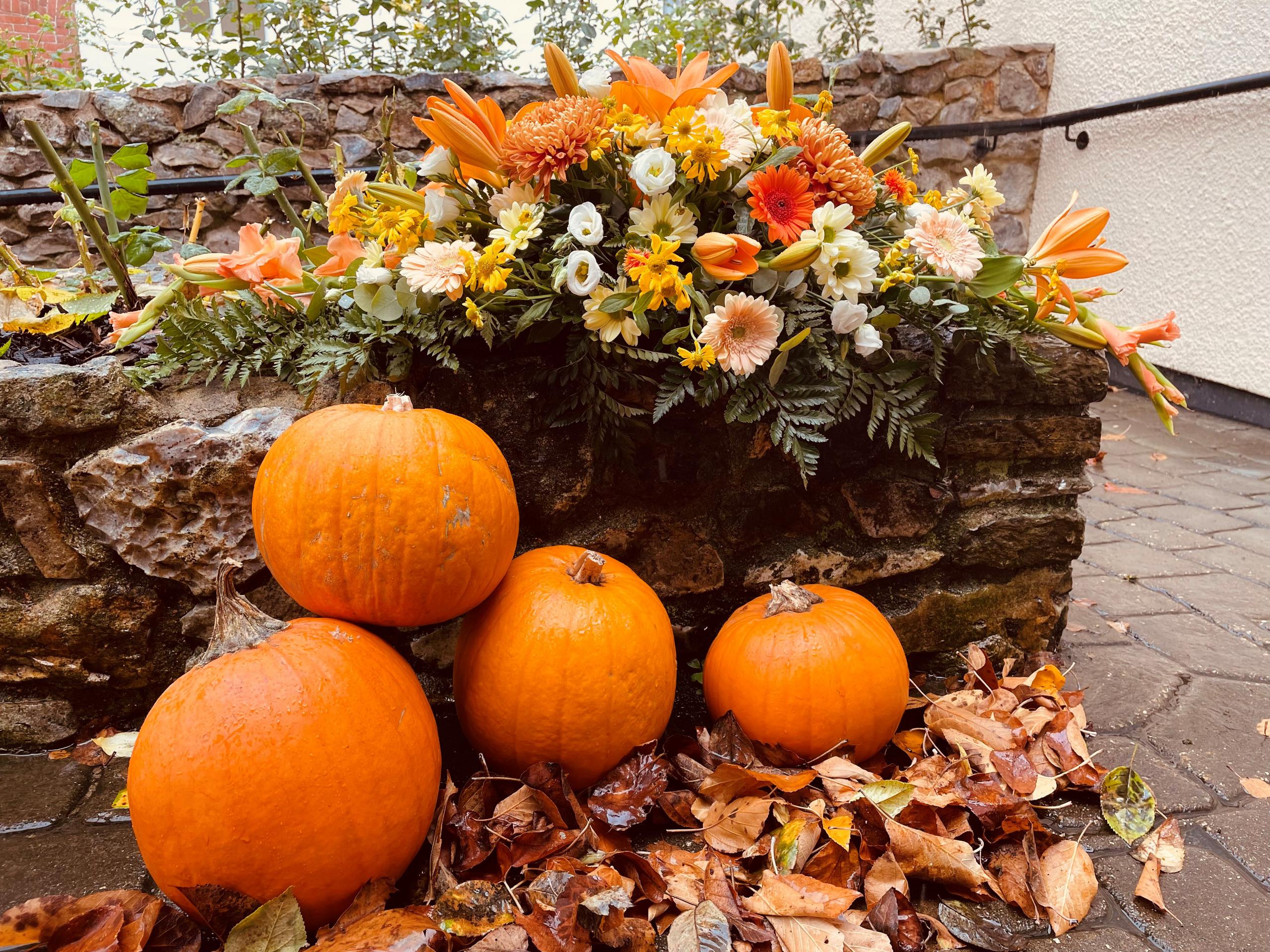 Autumn Hues  Cannon Care Homes