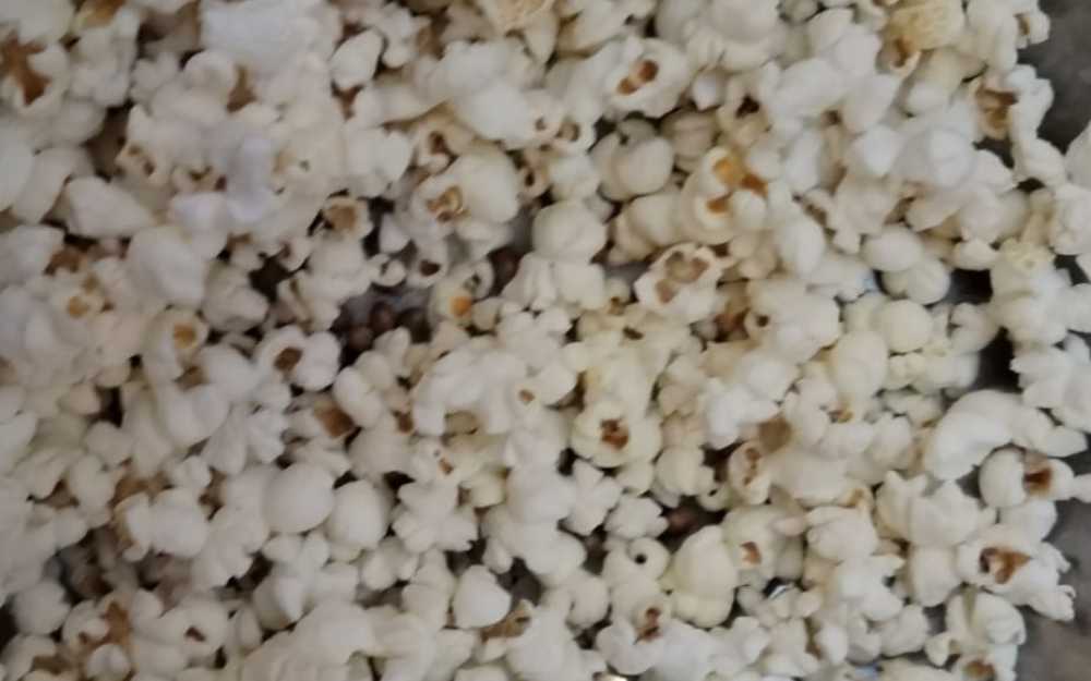 popcorn